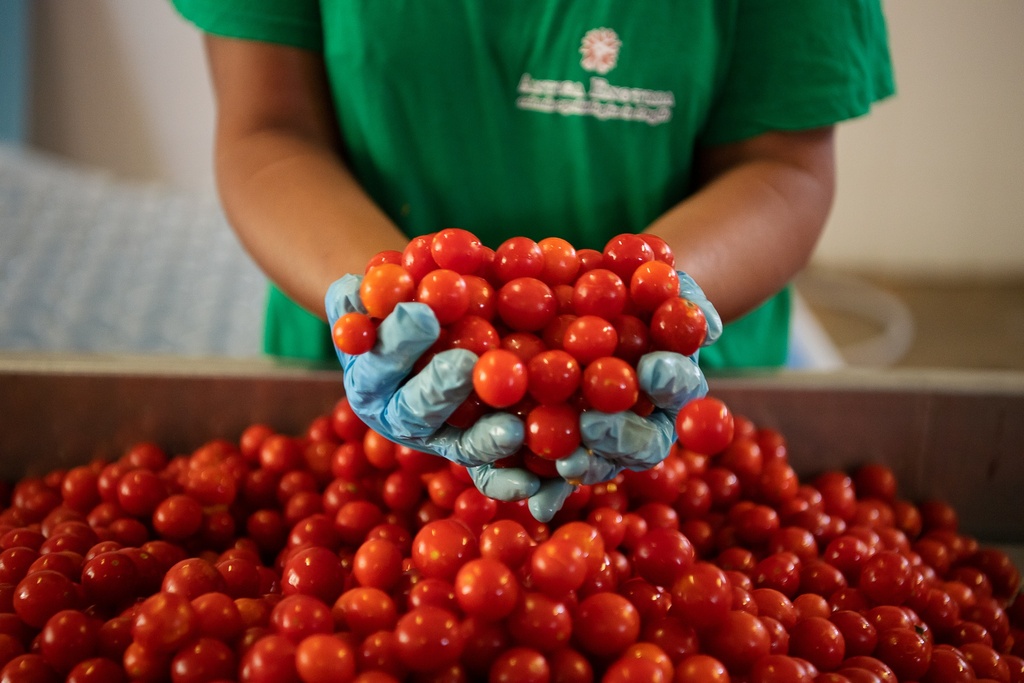 Tomates cerises naturelles