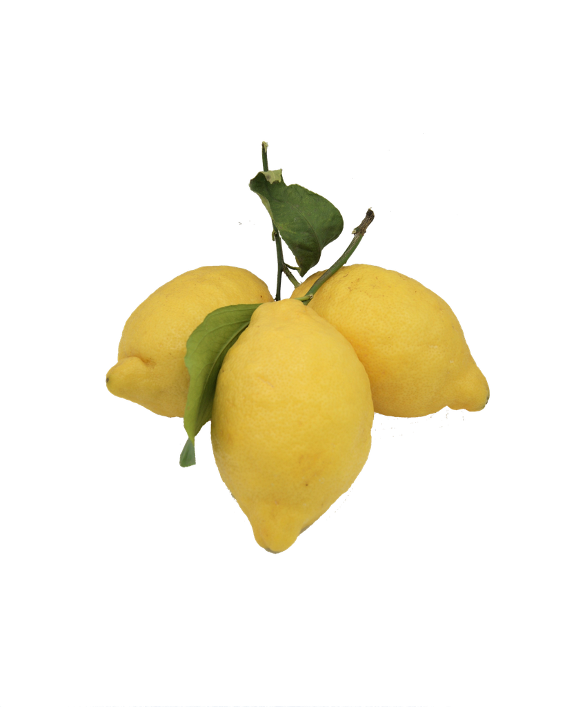 Organic fresh lemon