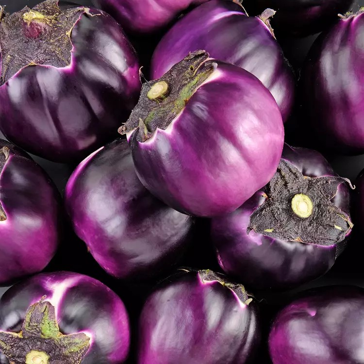 Aubergines violettes 