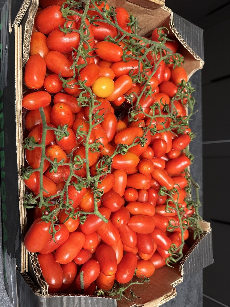 Tomato Datterino 1kg