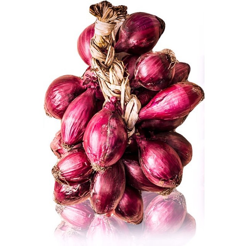 Tropea red onions